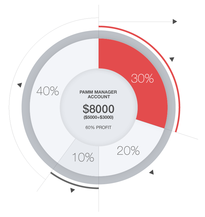 HotForex Infographic 1